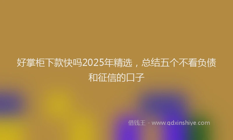 好掌柜下款快吗2025年精选，总结五个不看负债和征信的口子
