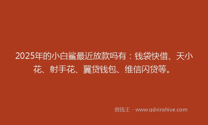 2025年的小白鲨最近放款吗有:钱袋快借、天小花、射手花、翼贷钱包、维信闪贷等。