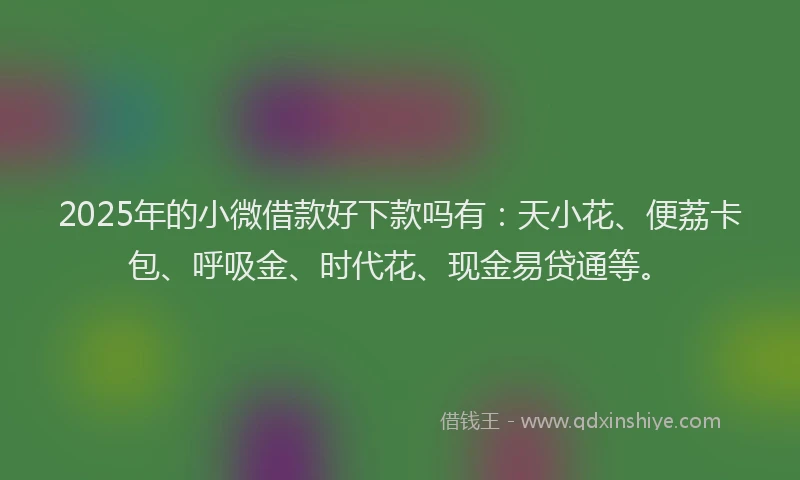 2025年的小微借款好下款吗有：天小花、便荔卡包、呼吸金、时代花、现金易贷通等。