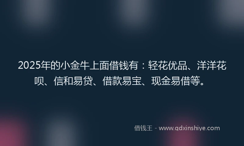 2025年的小金牛上面借钱有：轻花优品、洋洋花呗、信和易贷、借款易宝、现金易借等。