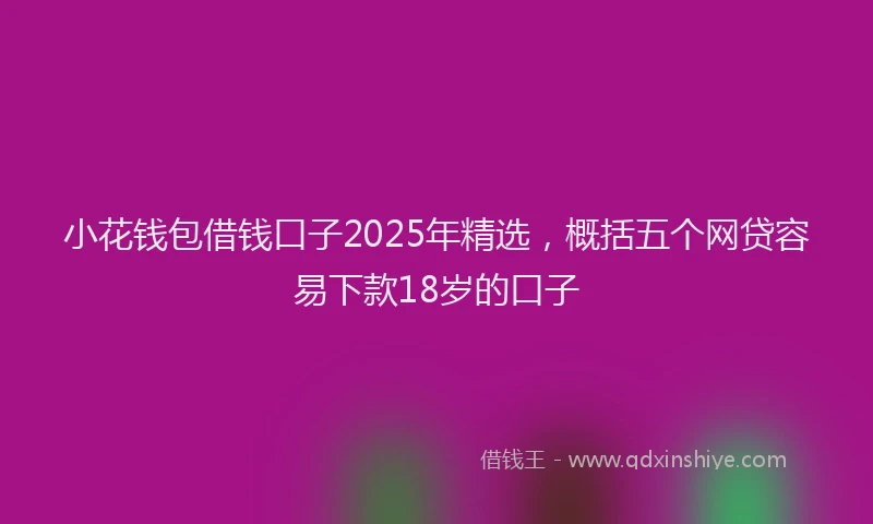 小花钱包借钱口子2025年精选，概括五个网贷容易下款18岁的口子