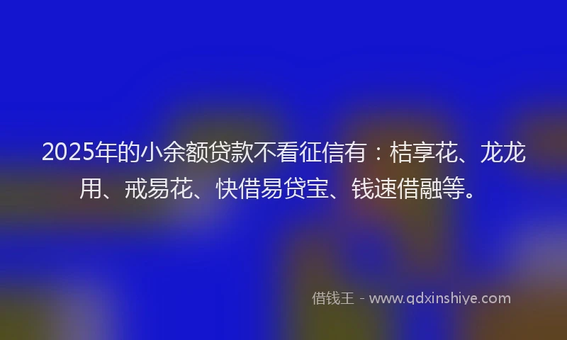 2025年的小余额贷款不看征信有：桔享花、龙龙用、戒易花、快借易贷宝、钱速借融等。