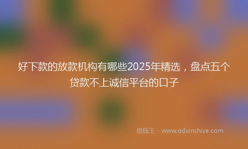 好下款的放款机构有哪些2025年精选，盘点五个贷款不上诚信平台的口子