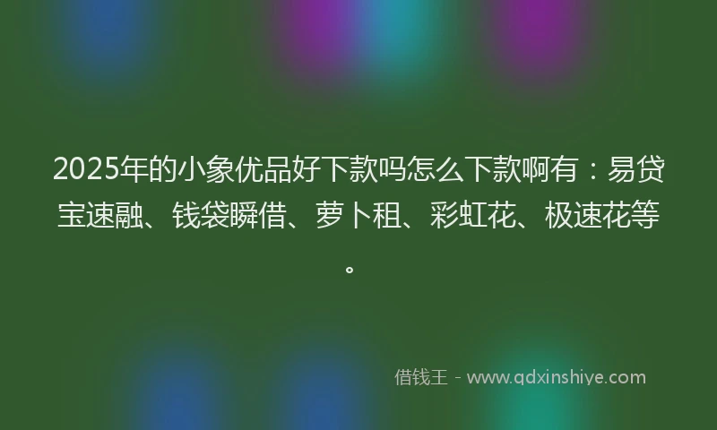2025年的小象优品好下款吗怎么下款啊有：易贷宝速融、钱袋瞬借、萝卜租、彩虹花、极速花等。