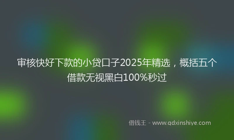 审核快好下款的小贷口子2025年精选，概括五个借款无视黑白100%秒过