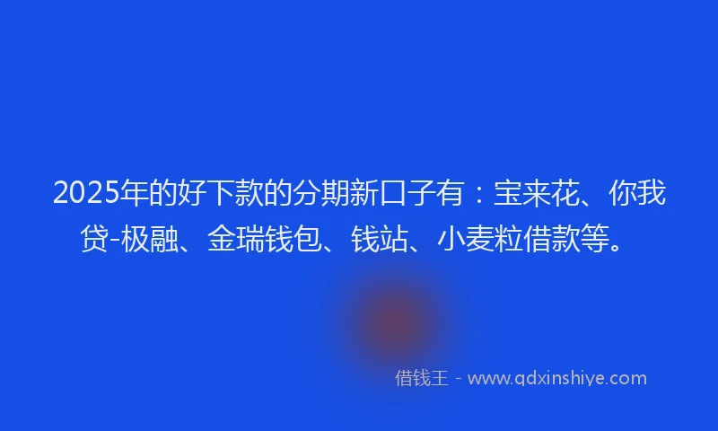 2025年的好下款的分期新口子有：宝来花、你我贷-极融、金瑞钱包、钱站、小麦粒借款等。