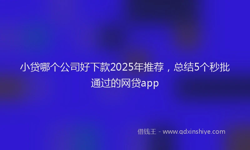 小贷哪个公司好下款2025年推荐，总结5个秒批通过的网贷app