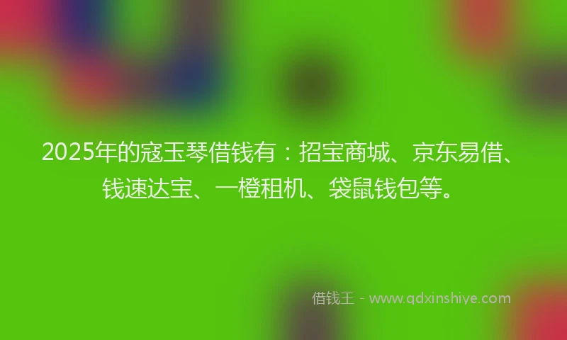 2025年的寇玉琴借钱有：招宝商城、京东易借、钱速达宝、一橙租机、袋鼠钱包等。