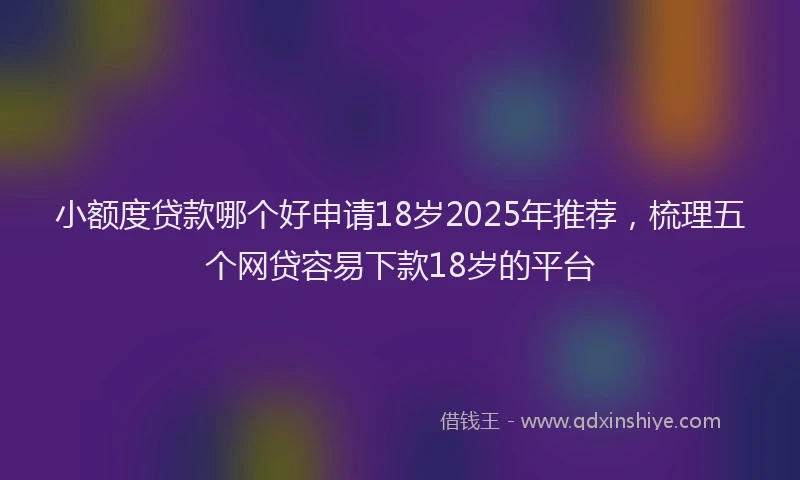 小额度贷款哪个好申请18岁2025年推荐，梳理五个网贷容易下款18岁的平台