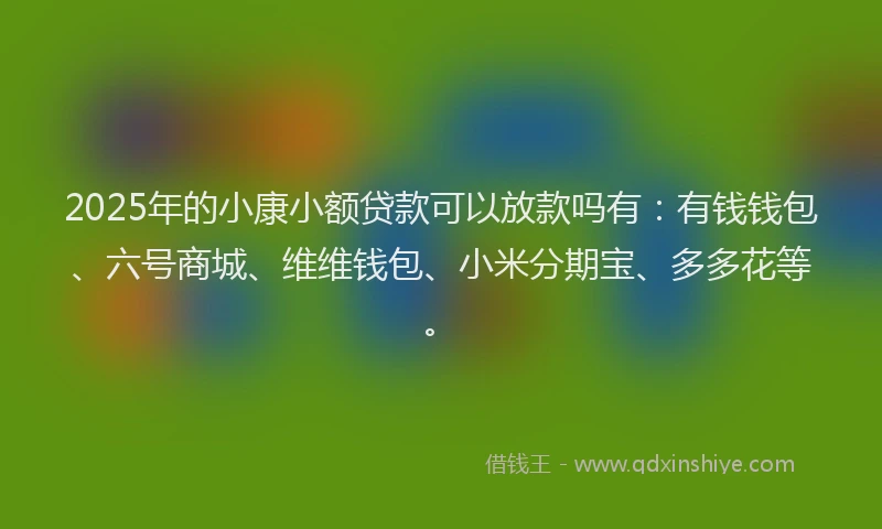 2025年的小康小额贷款可以放款吗有：有钱钱包、六号商城、维维钱包、小米分期宝、多多花等。