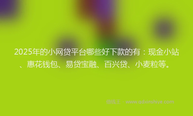 2025年的小网贷平台哪些好下款的有：现金小站、惠花钱包、易贷宝融、百兴贷、小麦粒等。