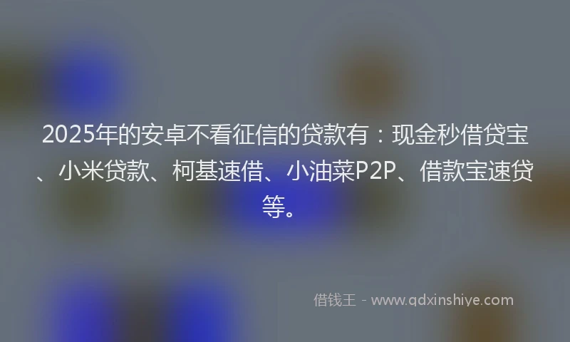 2025年的安卓不看征信的贷款有：现金秒借贷宝、小米贷款、柯基速借、小油菜P2P、借款宝速贷等。