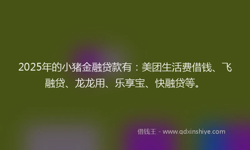 2025年的小猪金融贷款有：美团生活费借钱、飞融贷、龙龙用、乐享宝、快融贷等。