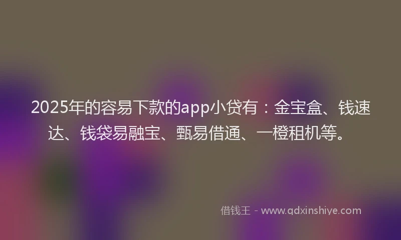 2025年的容易下款的app小贷有：金宝盒、钱速达、钱袋易融宝、甄易借通、一橙租机等。