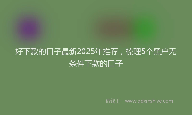 好下款的口子最新2025年推荐，梳理5个黑户无条件下款的口子