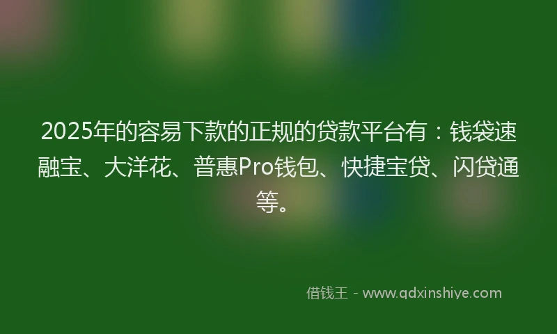 2025年的容易下款的正规的贷款平台有：钱袋速融宝、大洋花、普惠Pro钱包、快捷宝贷、闪贷通等。