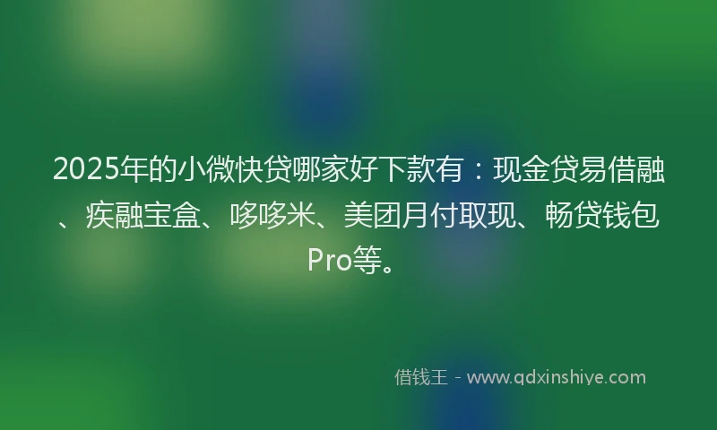 2025年的小微快贷哪家好下款有：现金贷易借融、疾融宝盒、哆哆米、美团月付取现、畅贷钱包Pro等。