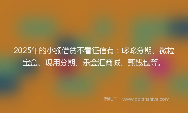 2025年的小额借贷不看征信有：哆哆分期、微粒宝盒、现用分期、乐金汇商城、甄钱包等。