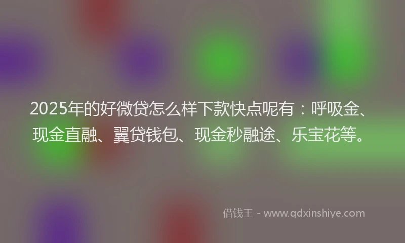 2025年的好微贷怎么样下款快点呢有：呼吸金、现金直融、翼贷钱包、现金秒融途、乐宝花等。