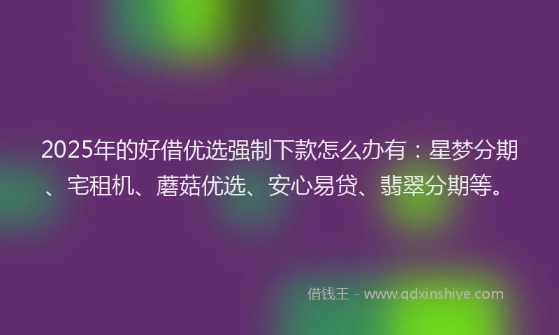 2025年的好借优选强制下款怎么办有：星梦分期、宅租机、蘑菇优选、安心易贷、翡翠分期等。