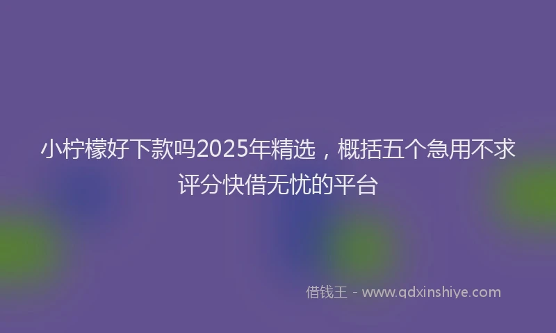 小柠檬好下款吗2025年精选，概括五个急用不求评分快借无忧的平台