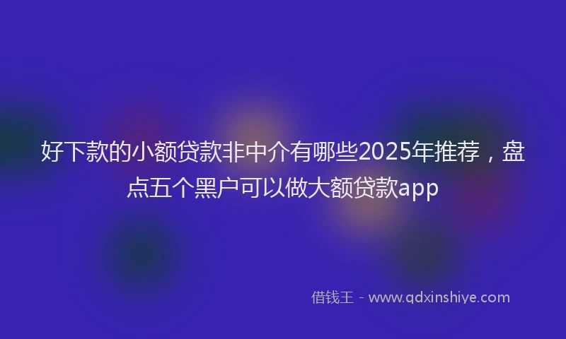 好下款的小额贷款非中介有哪些2025年推荐，盘点五个黑户可以做大额贷款app
