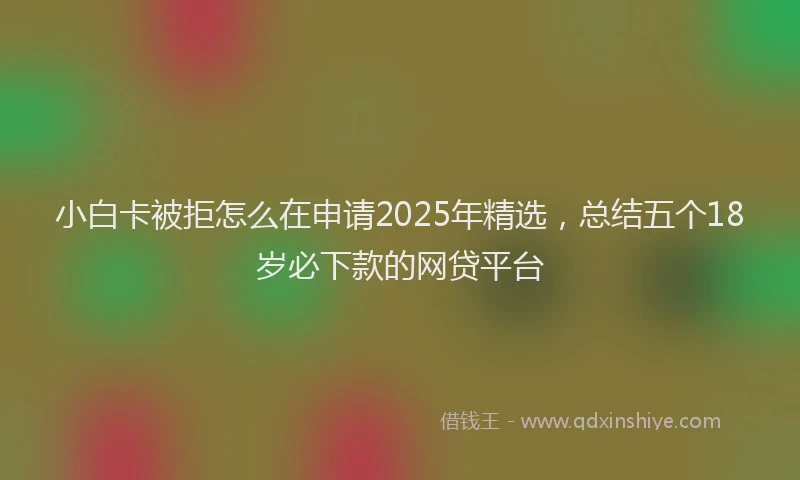 小白卡被拒怎么在申请2025年精选，总结五个18岁必下款的网贷平台