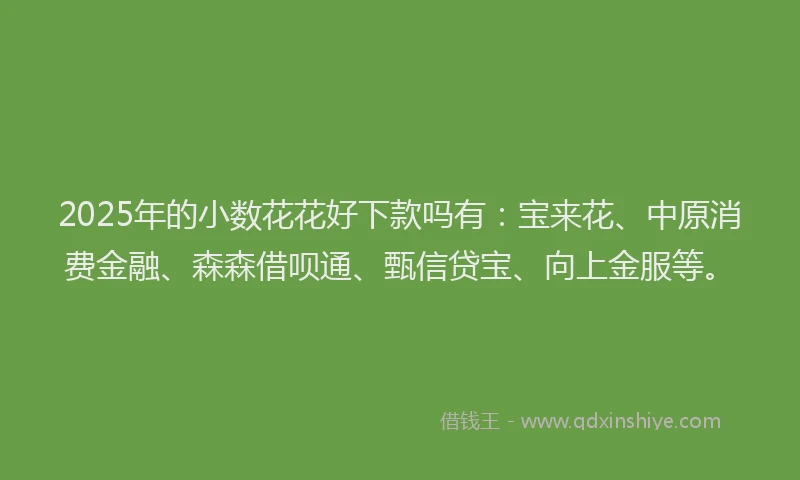2025年的小数花花好下款吗有：宝来花、中原消费金融、森森借呗通、甄信贷宝、向上金服等。