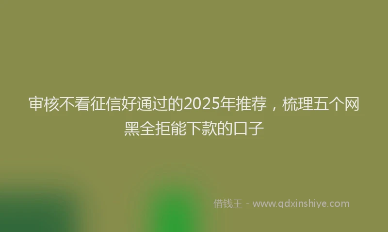 审核不看征信好通过的2025年推荐，梳理五个网黑全拒能下款的口子