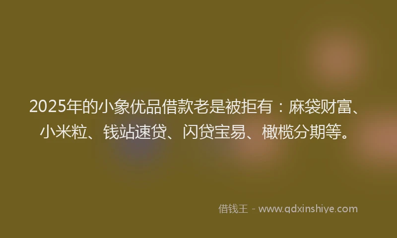 2025年的小象优品借款老是被拒有：麻袋财富、小米粒、钱站速贷、闪贷宝易、橄榄分期等。