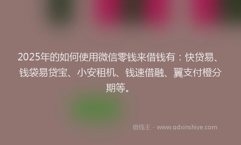 2025年的如何使用微信零钱来借钱有：快贷易、钱袋易贷宝、小安租机、钱速借融、翼支付橙分期等。