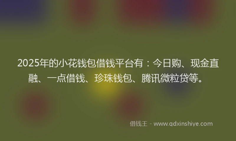 2025年的小花钱包借钱平台有：今日购、现金直融、一点借钱、珍珠钱包、腾讯微粒贷等。