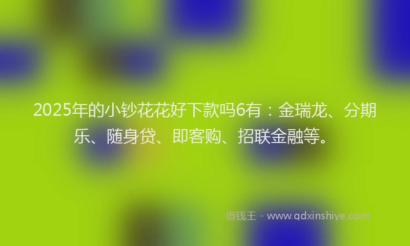 2025年的小钞花花好下款吗6有：金瑞龙、分期乐、随身贷、即客购、招联金融等。