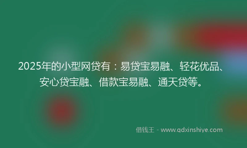 2025年的小型网贷有：易贷宝易融、轻花优品、安心贷宝融、借款宝易融、通天贷等。