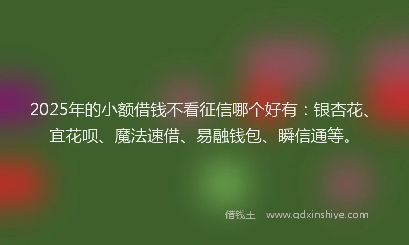 2025年的小额借钱不看征信哪个好有：银杏花、宜花呗、魔法速借、易融钱包、瞬信通等。