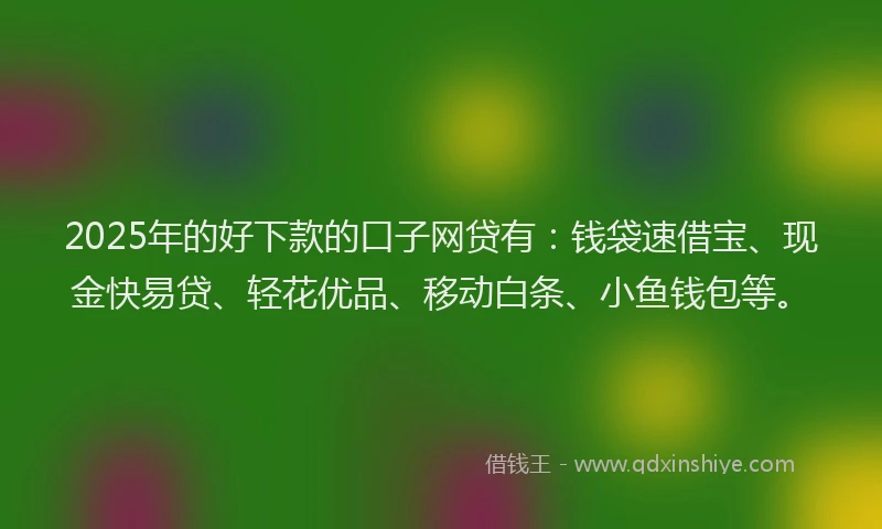 2025年的好下款的口子网贷有：钱袋速借宝、现金快易贷、轻花优品、移动白条、小鱼钱包等。