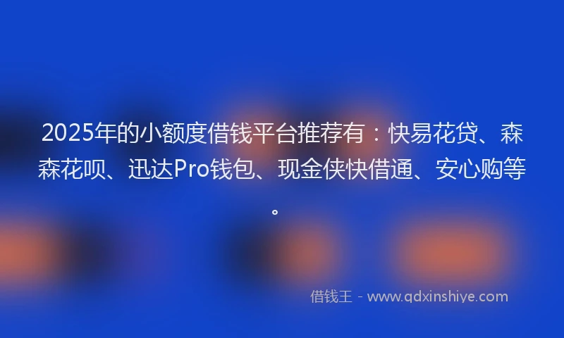 2025年的小额度借钱平台推荐有：快易花贷、森森花呗、迅达Pro钱包、现金侠快借通、安心购等。