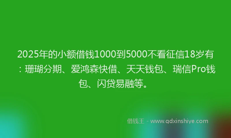 2025年的小额借钱1000到5000不看征信18岁有：珊瑚分期、爱鸿森快借、天天钱包、瑞信Pro钱包、闪贷易融等。