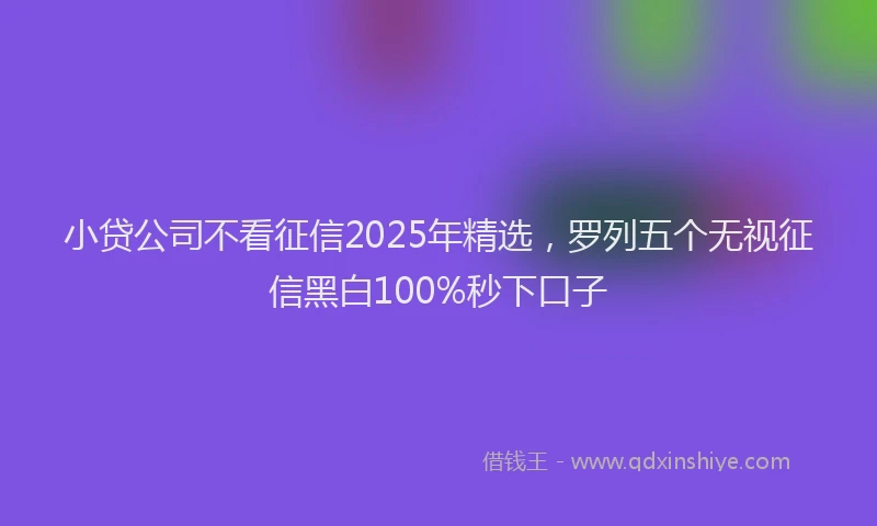 小贷公司不看征信2025年精选，罗列五个无视征信黑白100%秒下口子