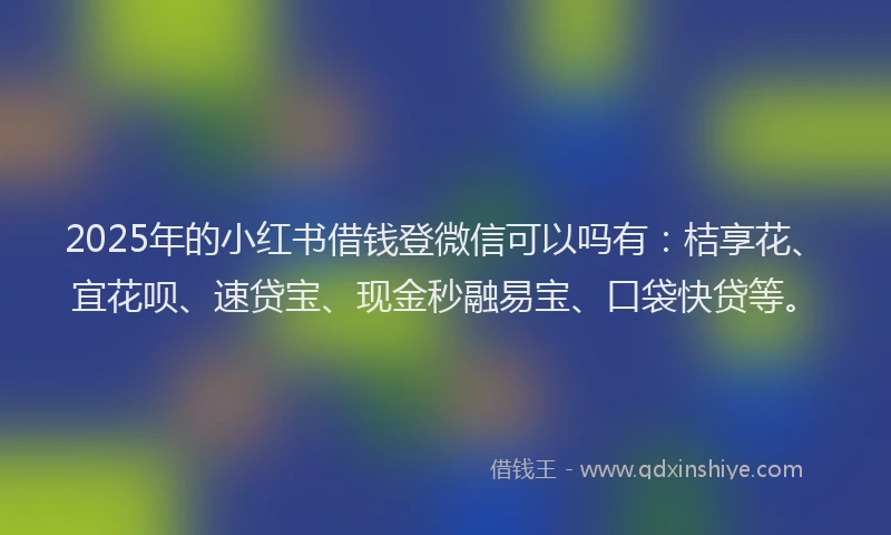 2025年的小红书借钱登微信可以吗有：桔享花、宜花呗、速贷宝、现金秒融易宝、口袋快贷等。