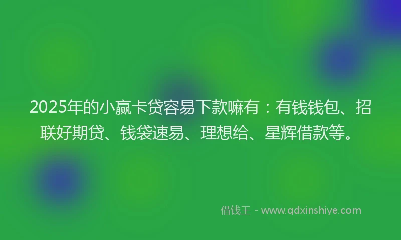 2025年的小赢卡贷容易下款嘛有：有钱钱包、招联好期贷、钱袋速易、理想给、星辉借款等。