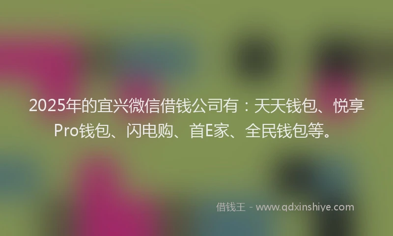 2025年的宜兴微信借钱公司有：天天钱包、悦享Pro钱包、闪电购、首E家、全民钱包等。