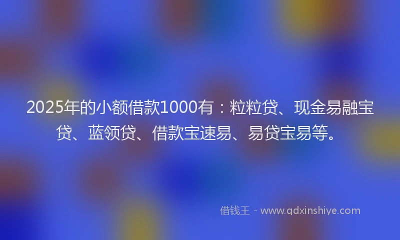 2025年的小额借款1000有：粒粒贷、现金易融宝贷、蓝领贷、借款宝速易、易贷宝易等。