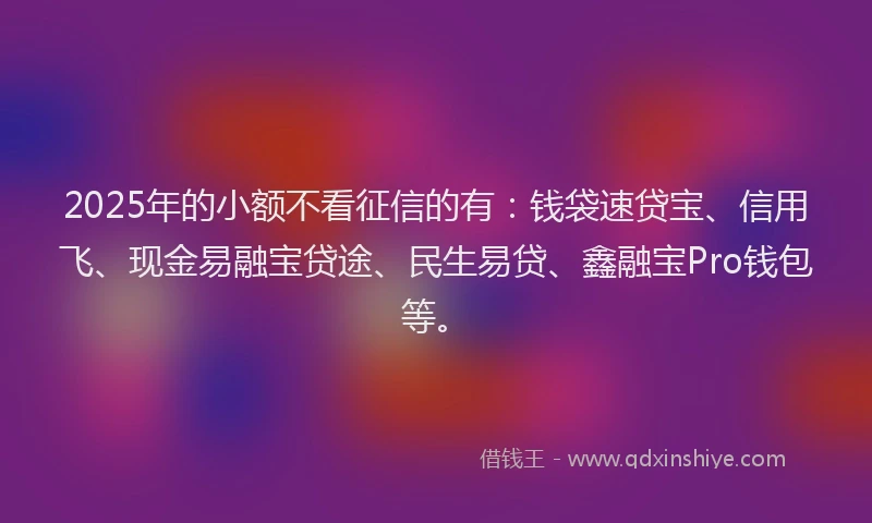 2025年的小额不看征信的有：钱袋速贷宝、信用飞、现金易融宝贷途、民生易贷、鑫融宝Pro钱包等。