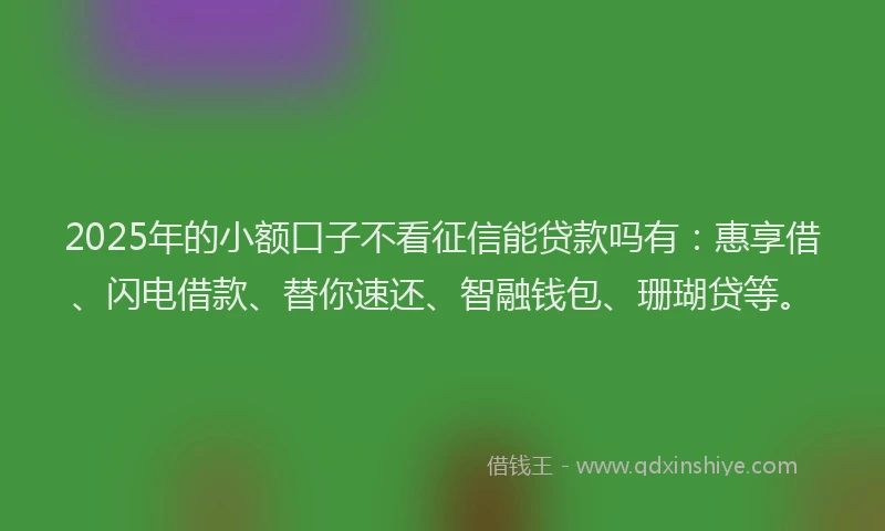 2025年的小额口子不看征信能贷款吗有：惠享借、闪电借款、替你速还、智融钱包、珊瑚贷等。
