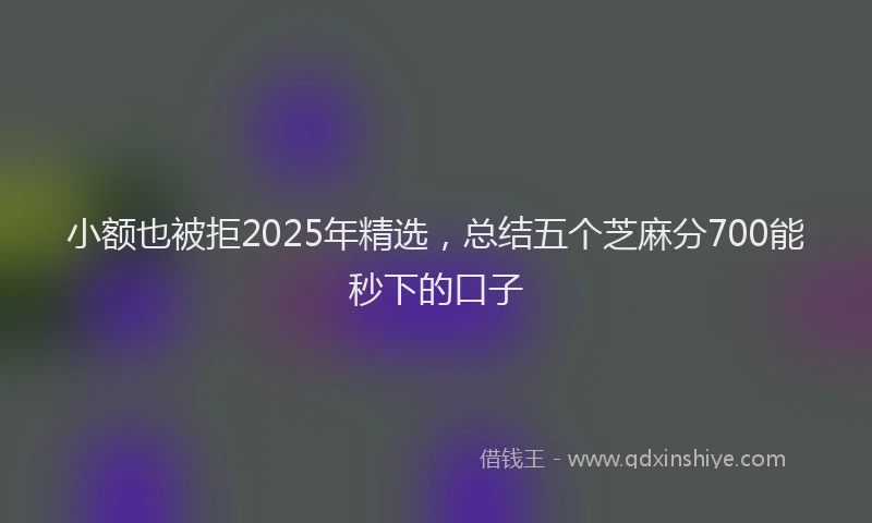 小额也被拒2025年精选，总结五个芝麻分700能秒下的口子