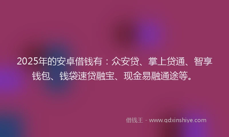 2025年的安卓借钱有：众安贷、掌上贷通、智享钱包、钱袋速贷融宝、现金易融通途等。