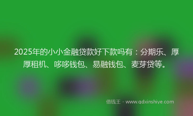 2025年的小小金融贷款好下款吗有：分期乐、厚厚租机、哆哆钱包、易融钱包、麦芽贷等。