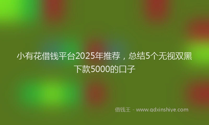 小有花借钱平台2025年推荐，总结5个无视双黑下款5000的口子