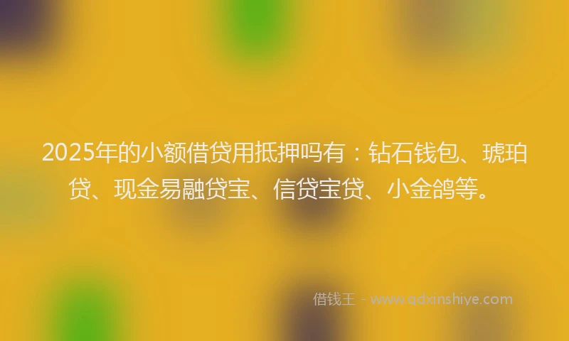 2025年的小额借贷用抵押吗有:钻石钱包、琥珀贷、现金易融贷宝、信贷宝贷、小金鸽等。